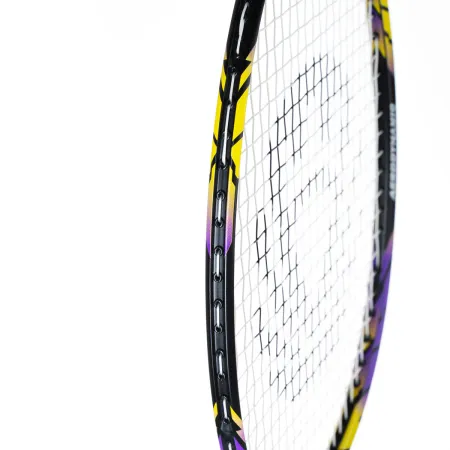 Ракетка бадм. TORRES Carbon PRO6, BD20521,для продв., стерж/обод из карбона,со струнами, фиол за 4&nbsp;477.80 ₽ купить в Волгограде