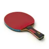 Ракетка для н/т DOUBLE FISH 7A+C, для професс.,ITTF Appr.,накл.2,1мм,+ 2 мяча V40+мм ITTF Appr за 3&nbsp;559.80 ₽ купить в Волгограде