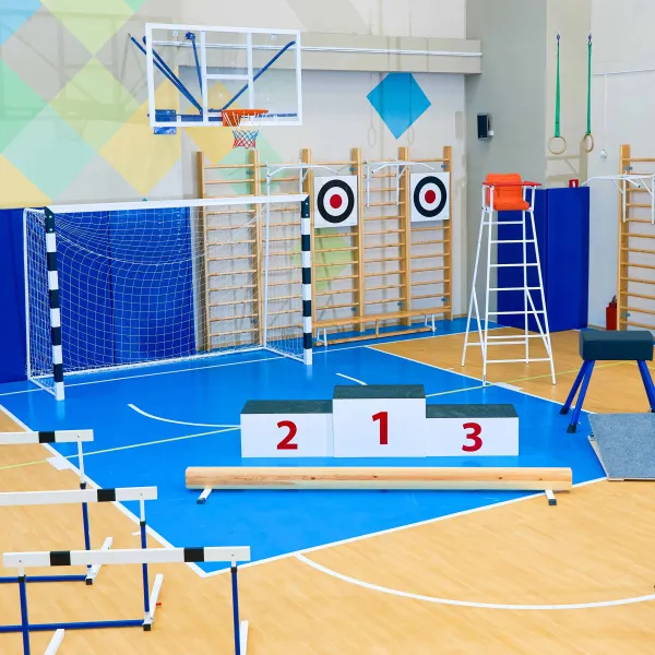 Щит для метания навесной на шведскую стенку (фанера) 700х700 ZAVODSPORTA за 8&nbsp;960 ₽ в Волгограде