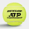 Мяч теннисный Dunlop ATP Championship 4B, 601627, уп.4ш, одобр. ITF, нат.резина,фетр. за 1&nbsp;242.70 ₽ купить в Волгограде