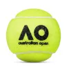 Мяч теннисный Dunlop Australian Open, 601601, уп..3 шт, одобр.ITF,фетр,нат.резина, желтый за 1&nbsp;171.30 ₽ купить в Волгограде