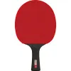 Ракетка для н/т DOUBLE FISH Black Carbon King Racket 5*****, для професс.,ITTF Appr.,накл.2,1,мм за 6&nbsp;434.50 ₽ купить в Волгограде