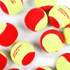Мяч теннисный детский NS Red, 5021009, уп.12 шт, резина, шерть, нейлон, желто-красный за 2&nbsp;941 ₽ купить в Волгограде